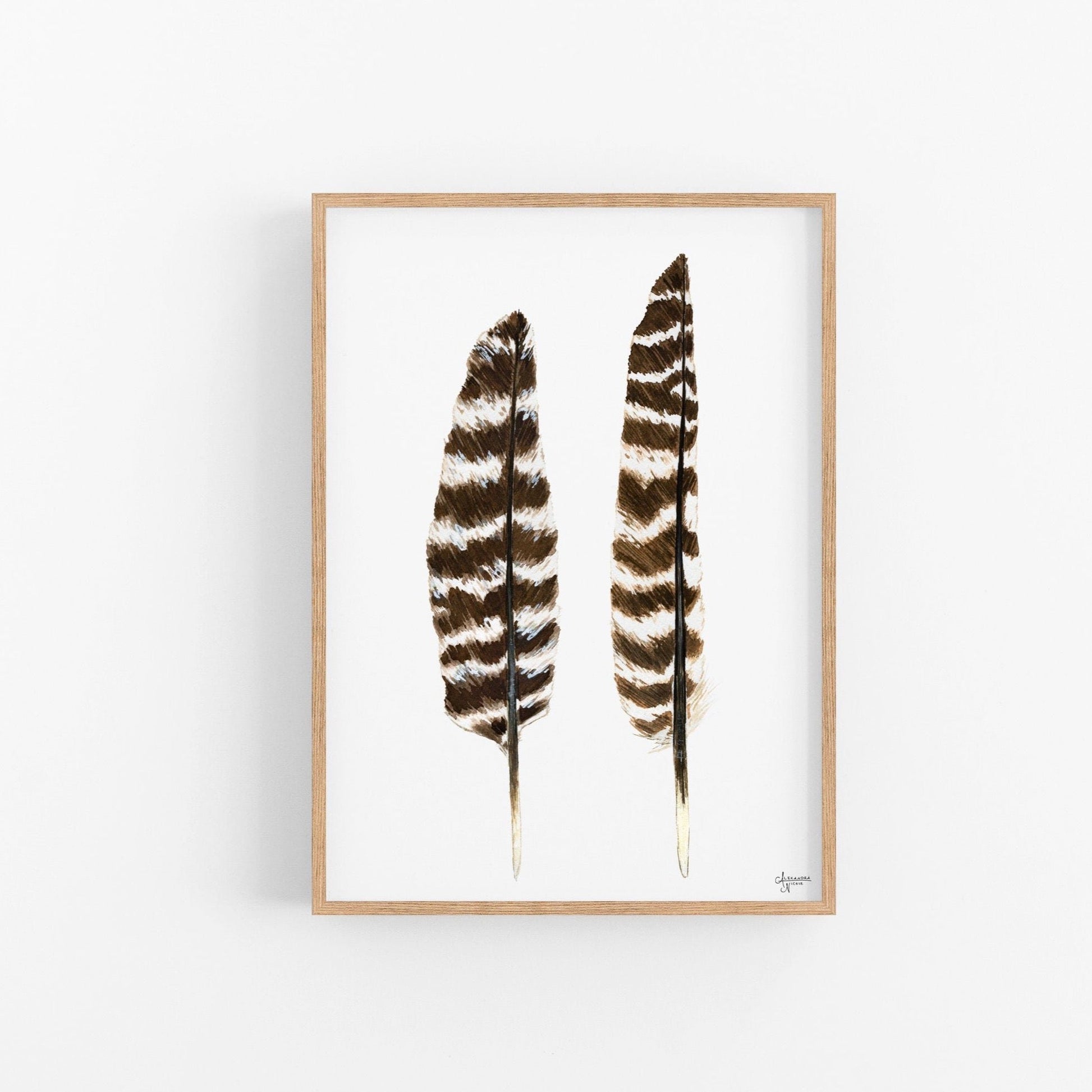 Eastern Wild Turkey Wing Feathers Print - ArtByAlexandraNicole