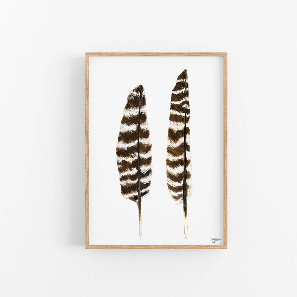 Turkey Wing Shell Art