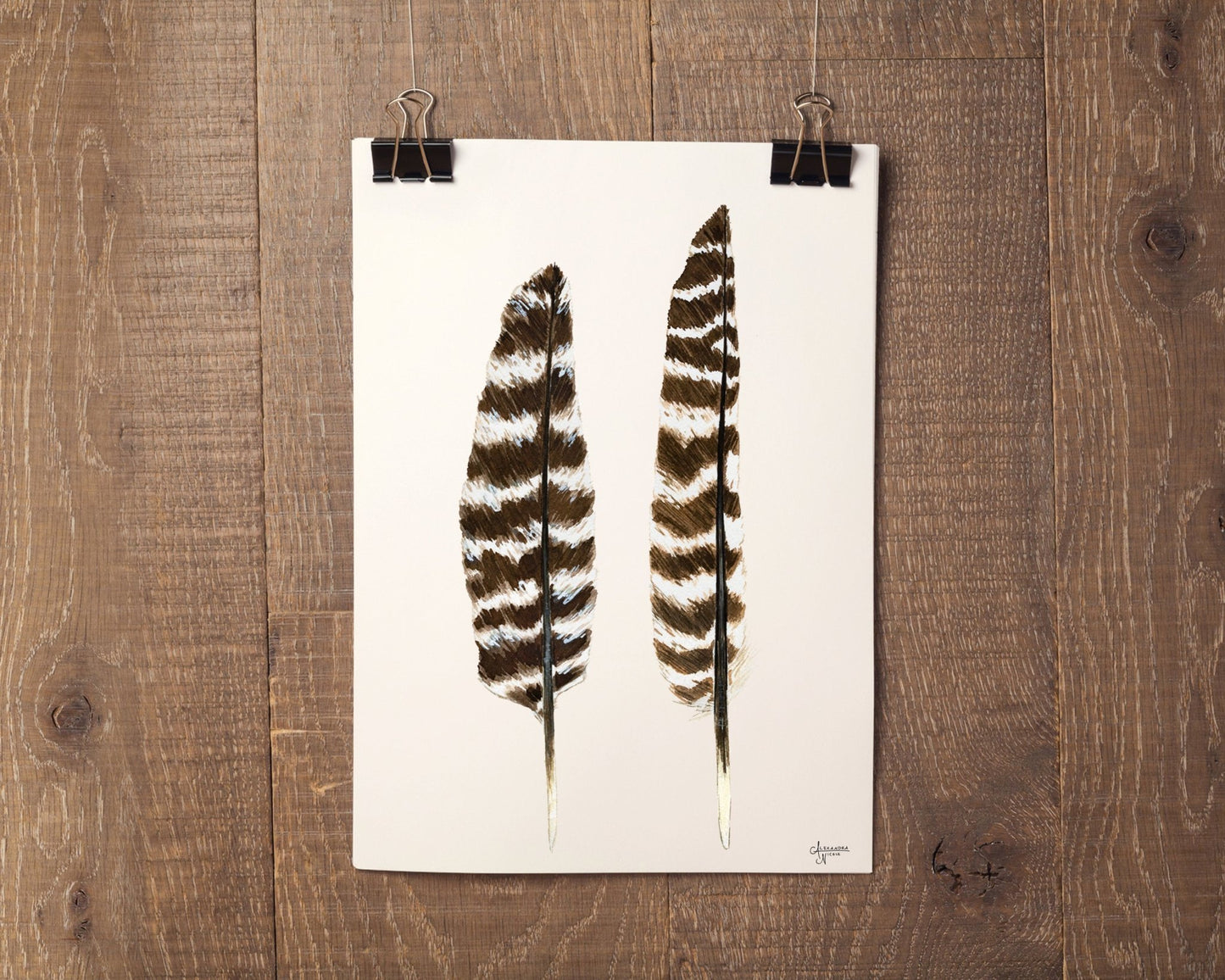 Eastern Wild Turkey Wing Feathers Print - ArtByAlexandraNicole