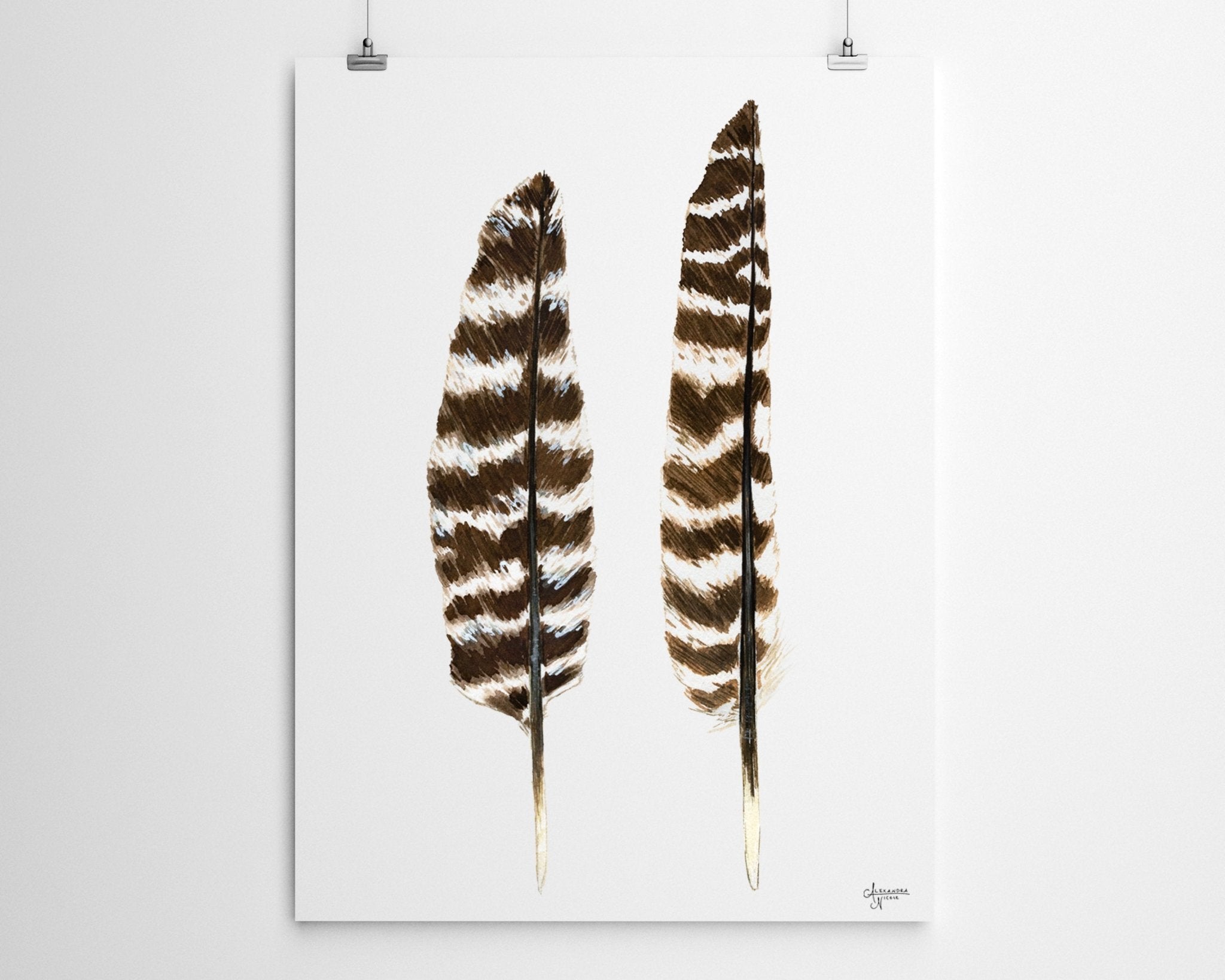 Eastern Wild Turkey Wing Feathers Print - ArtByAlexandraNicole