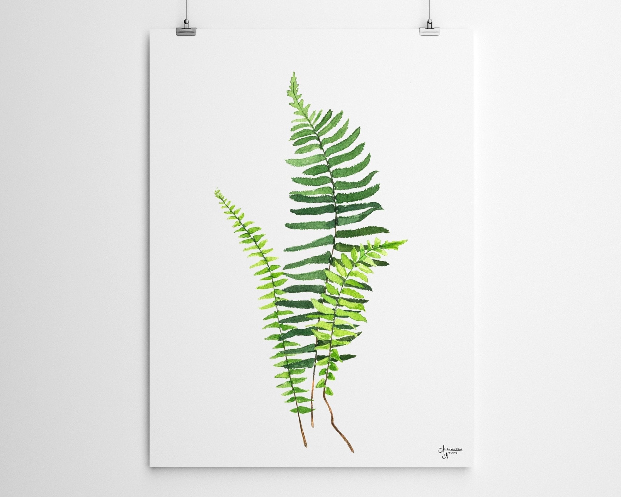 Ebony Spleenwort Fern Print - ArtByAlexandraNicole