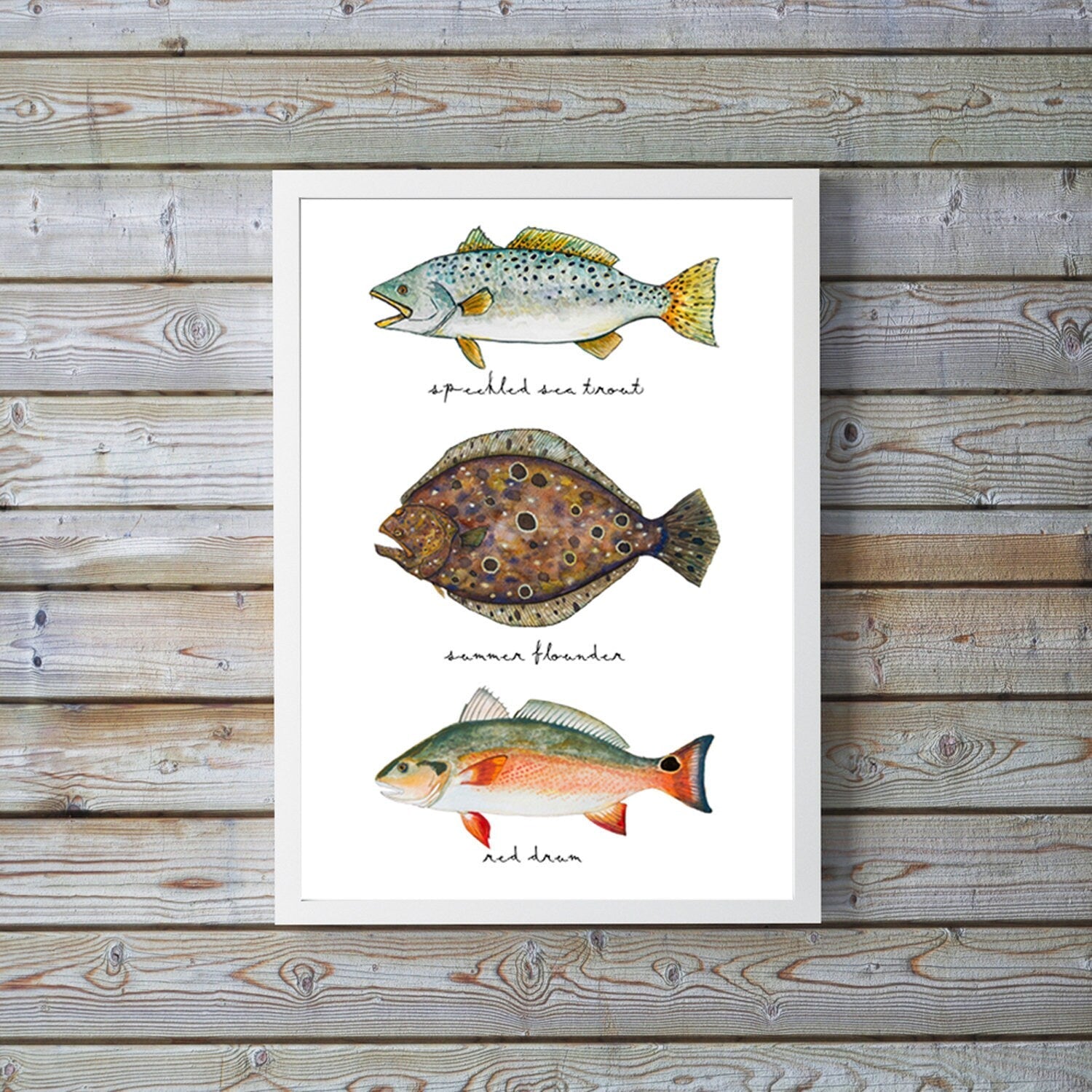 Low Country Slam, Sea Trout, Red Fish, Flounder – ArtByAlexandraNicole