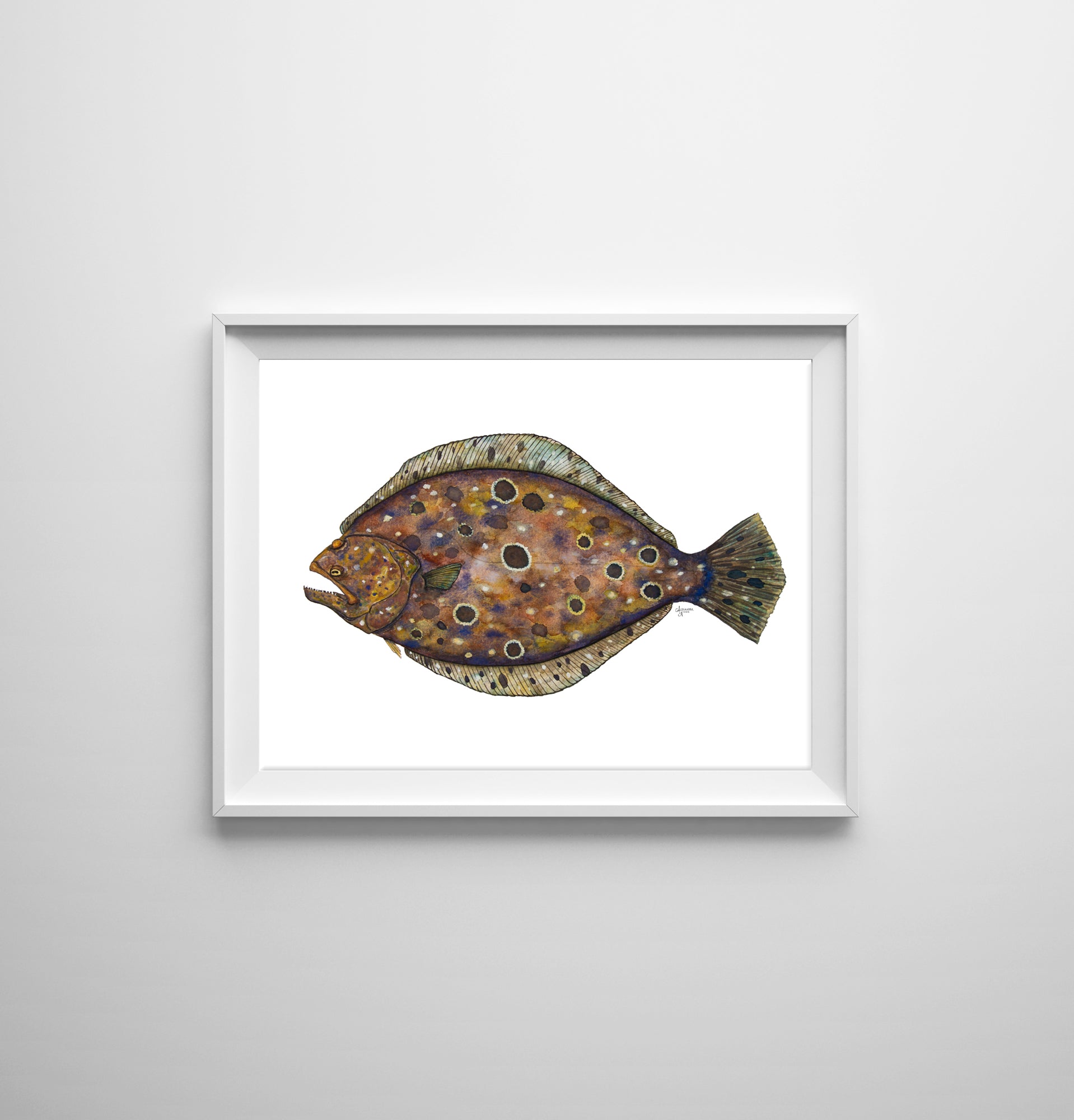 Flounder Watercolor Fish Print - ArtByAlexandraNicole