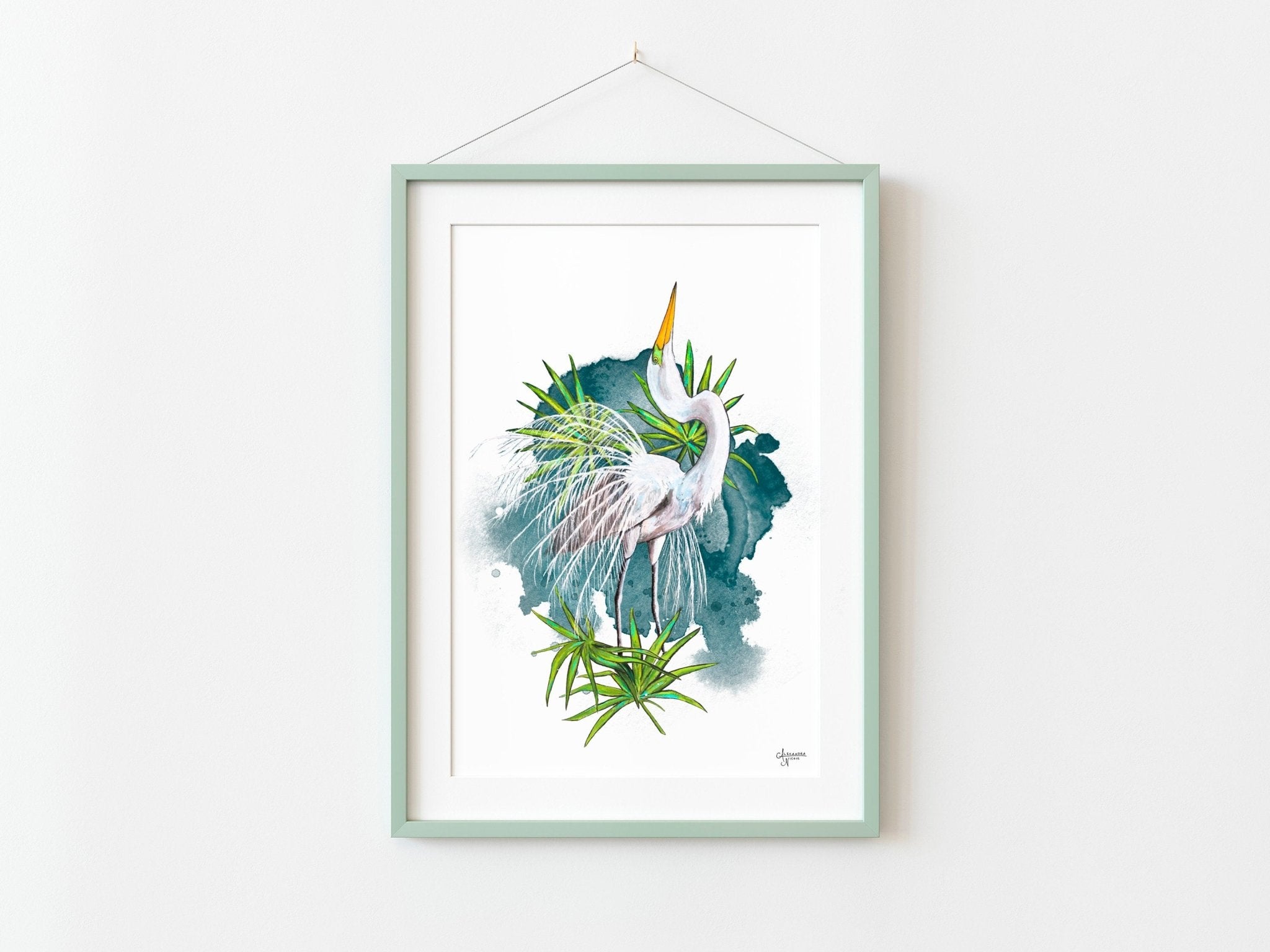 Great Egret in Breeding Plumage Fine Art Print - ArtByAlexandraNicole