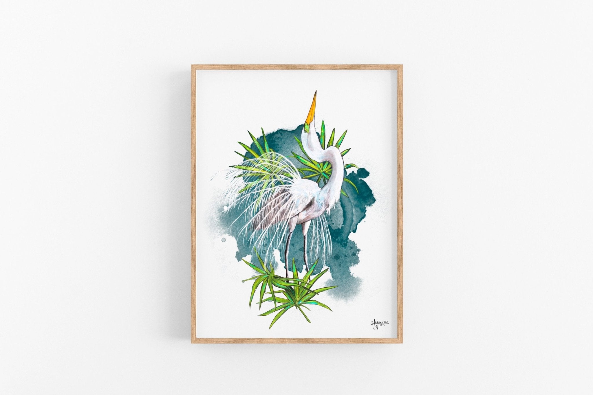 Great Egret in Breeding Plumage Fine Art Print - ArtByAlexandraNicole