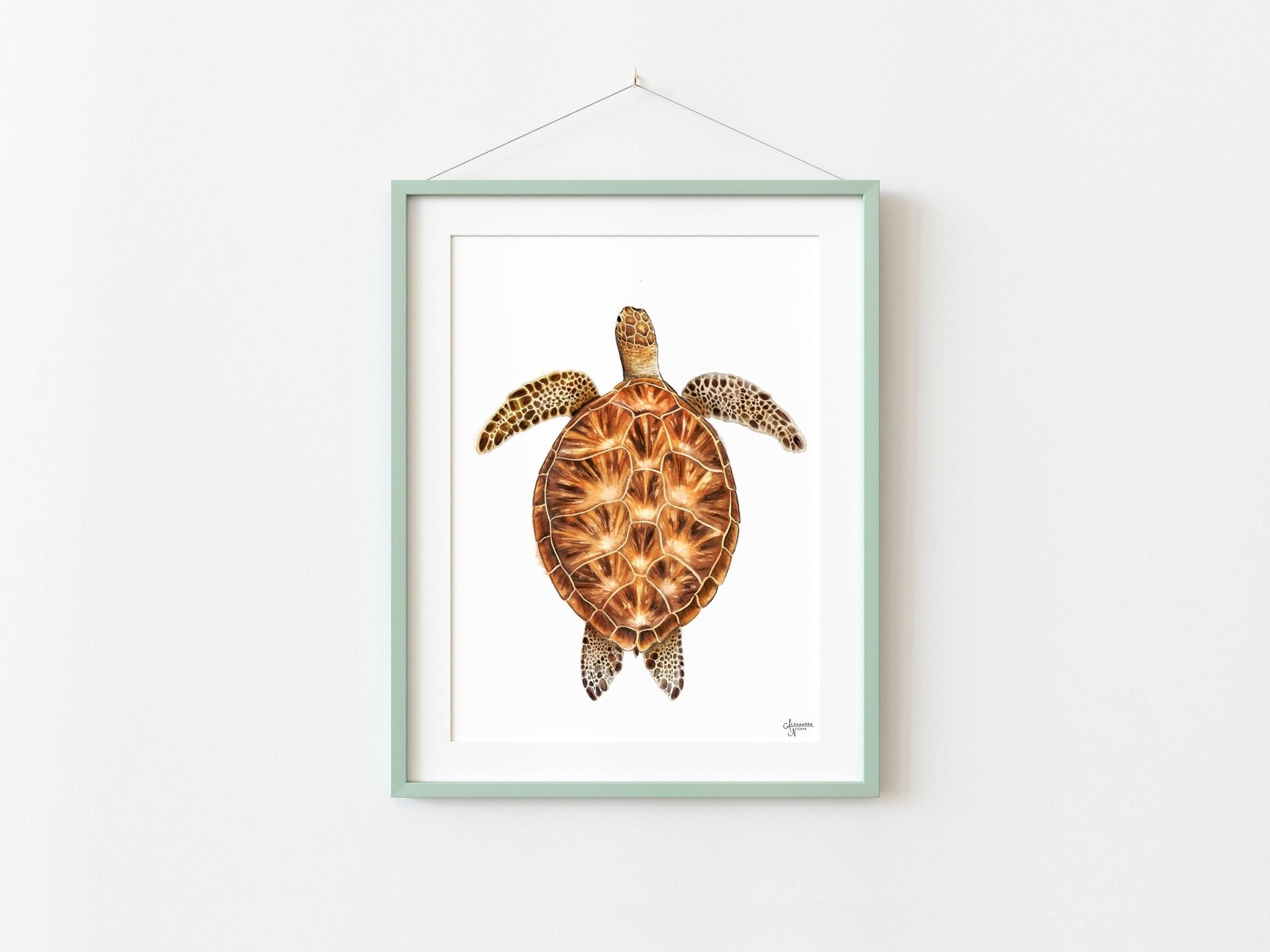 Green Sea Turtle Print - ArtByAlexandraNicole