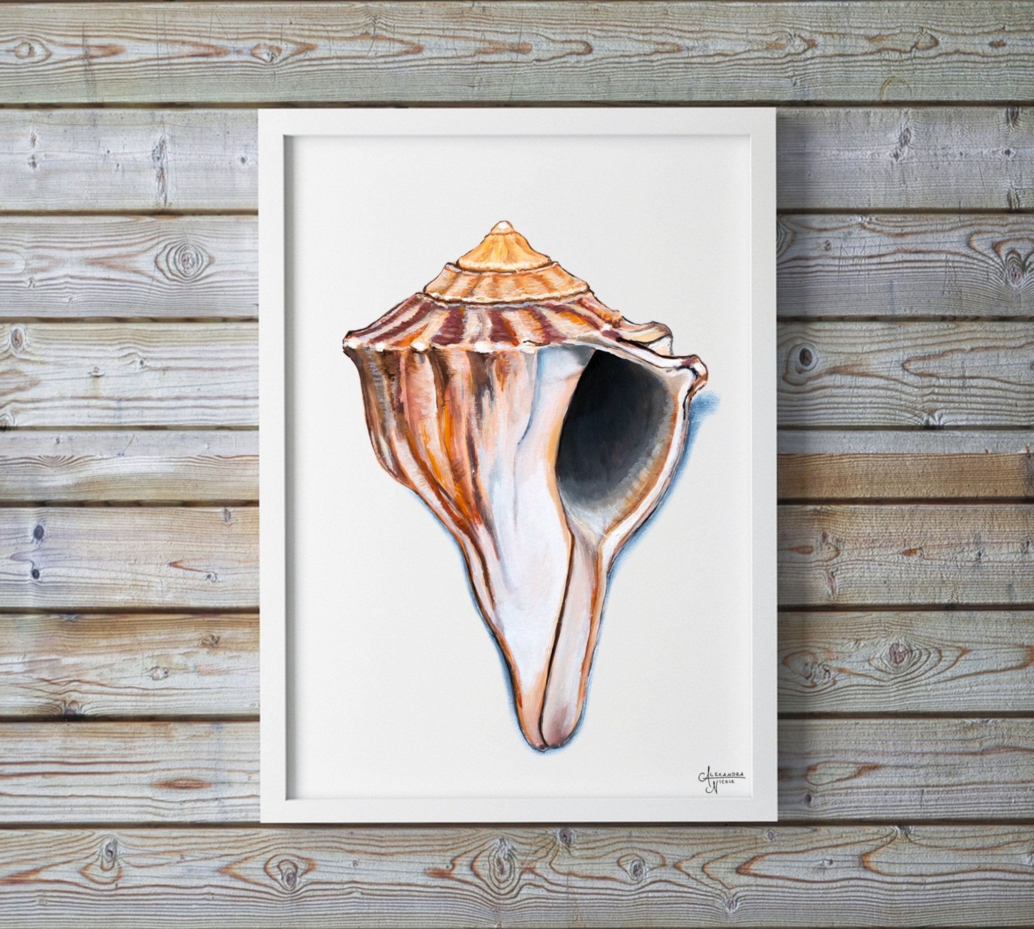 Knobbed Whelk Fine Art Print, Sea Shell Art - ArtByAlexandraNicole