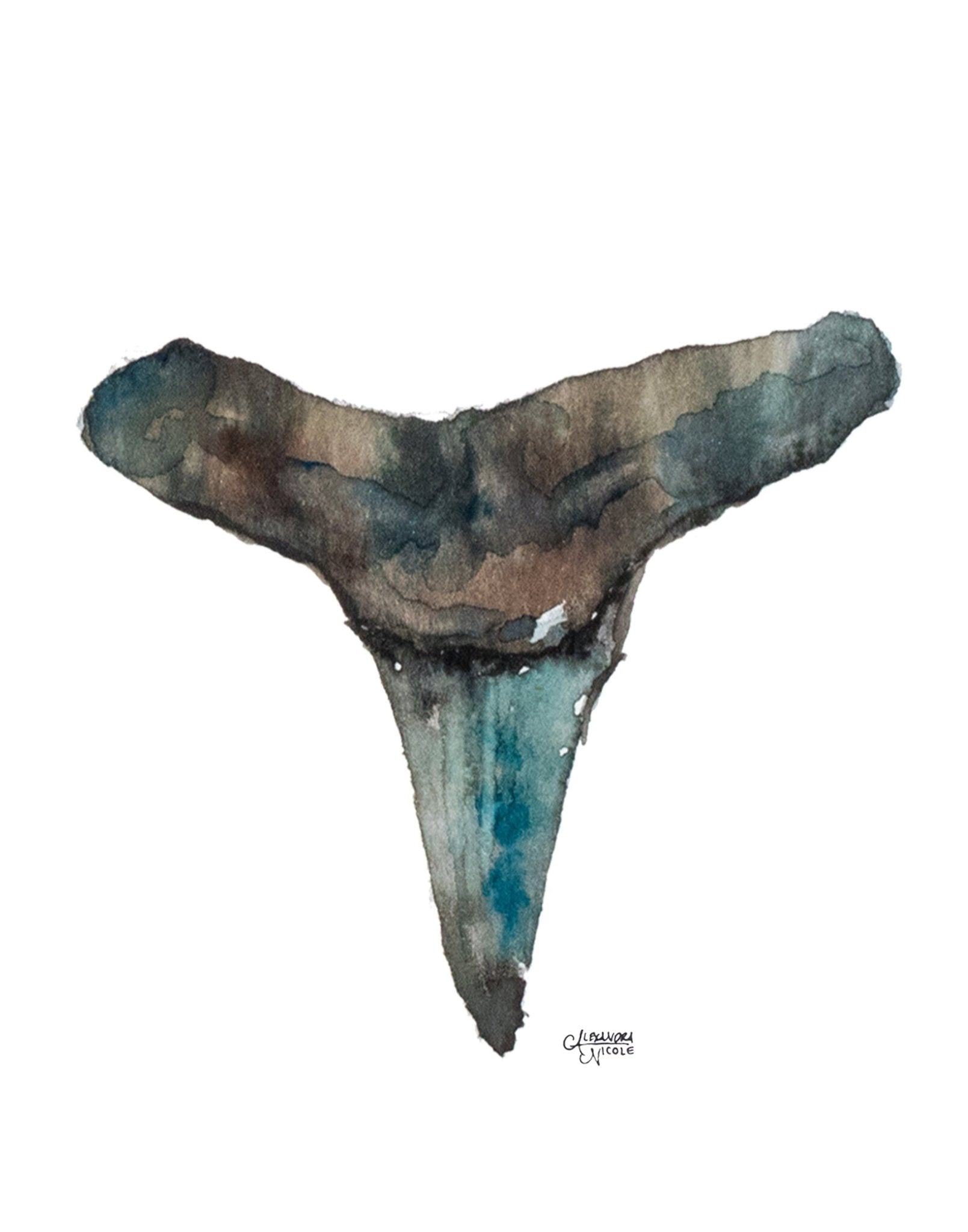 Lemon Shark Tooth Art Print - Shark Tooth No. 3 - ArtByAlexandraNicole
