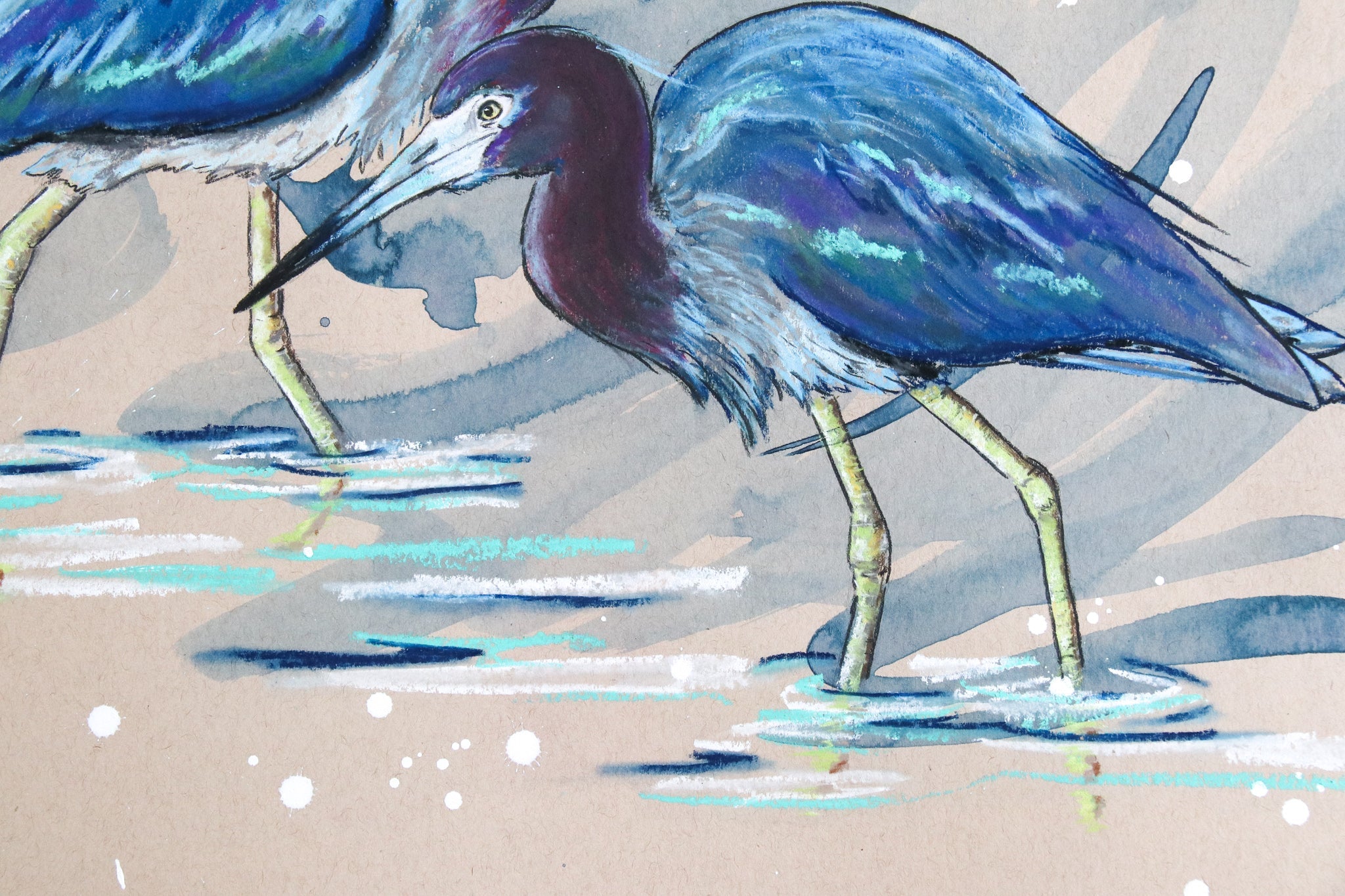 Little Blue Herons - ArtByAlexandraNicole
