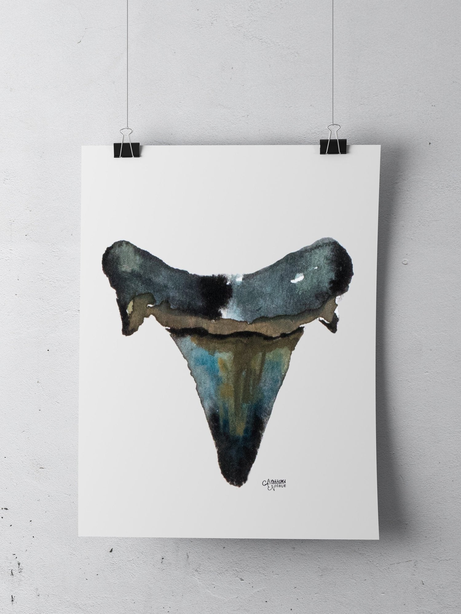 Mackerel Shark Tooth Art Print - Shark Tooth No. 8 - ArtByAlexandraNicole