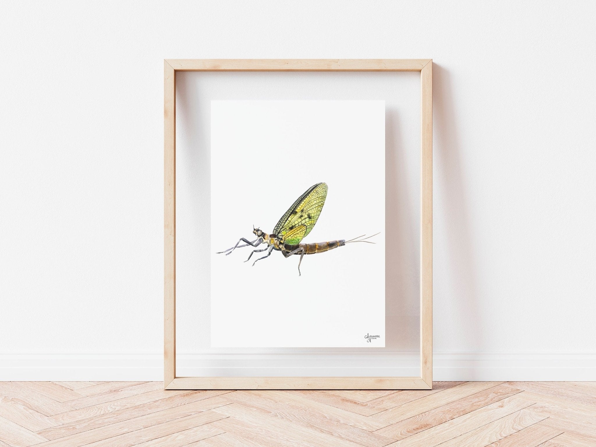 Mayfly Watercolor Print, Watercolor Bug Art, Nature Inspired Decor, Fly Fishermen Gift - ArtByAlexandraNicole