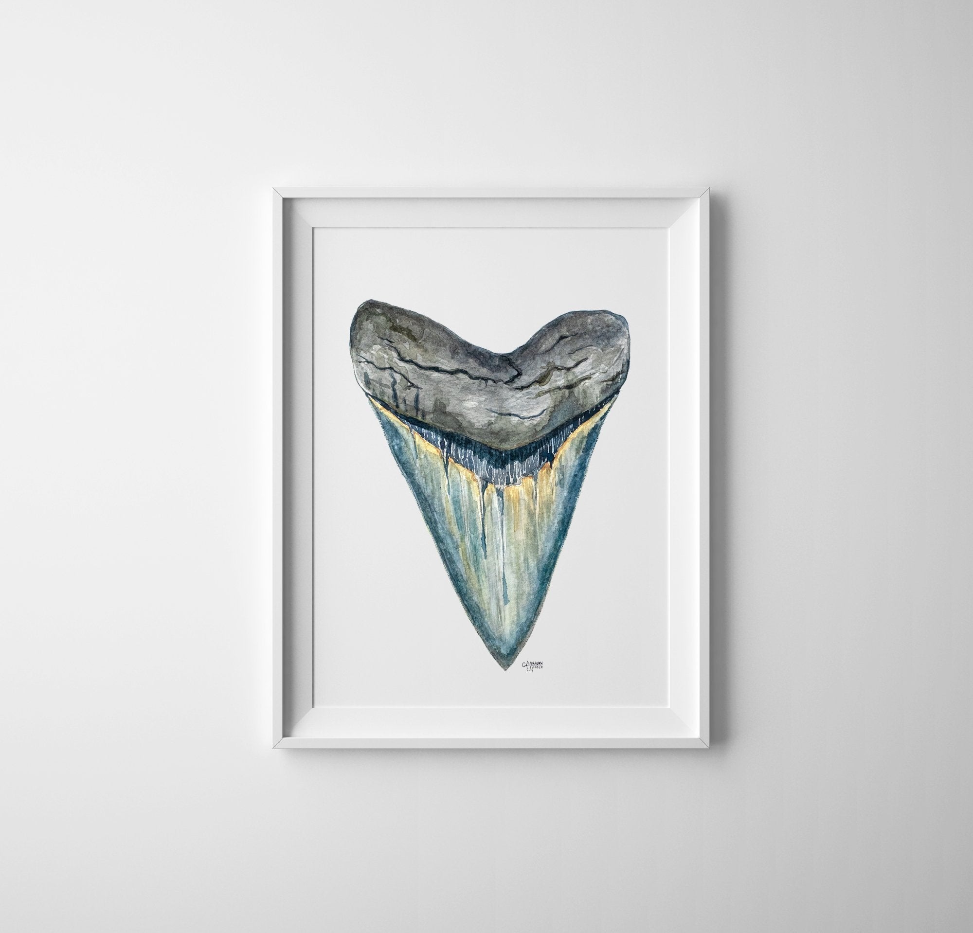Megalodon Shark Tooth Watercolor Fine Art Print - Shark Tooth No. 1, Minimalist Art - ArtByAlexandraNicole