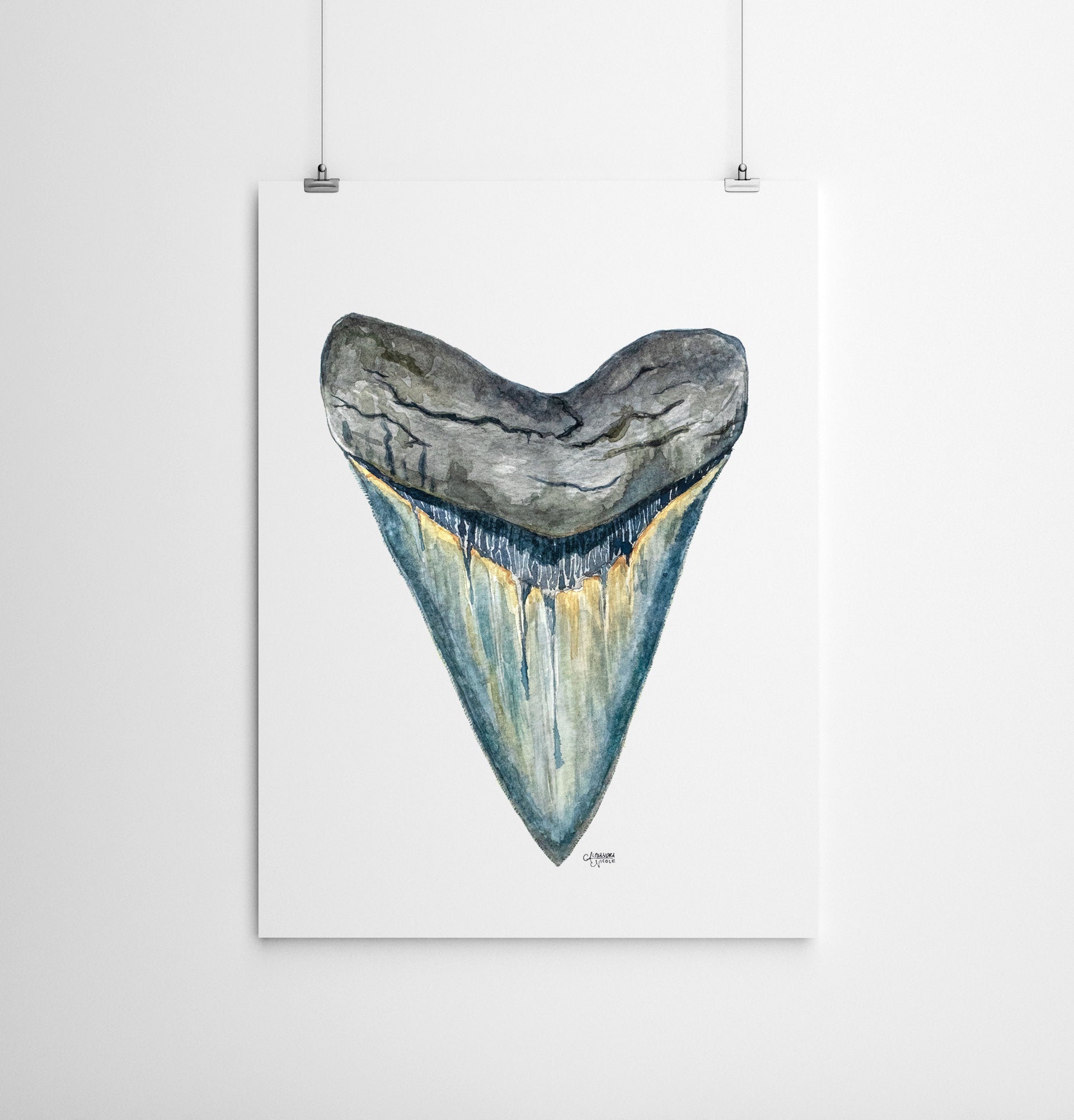 Megalodon Shark Tooth Watercolor Fine Art Print - Shark Tooth No. 1, Minimalist Art - ArtByAlexandraNicole