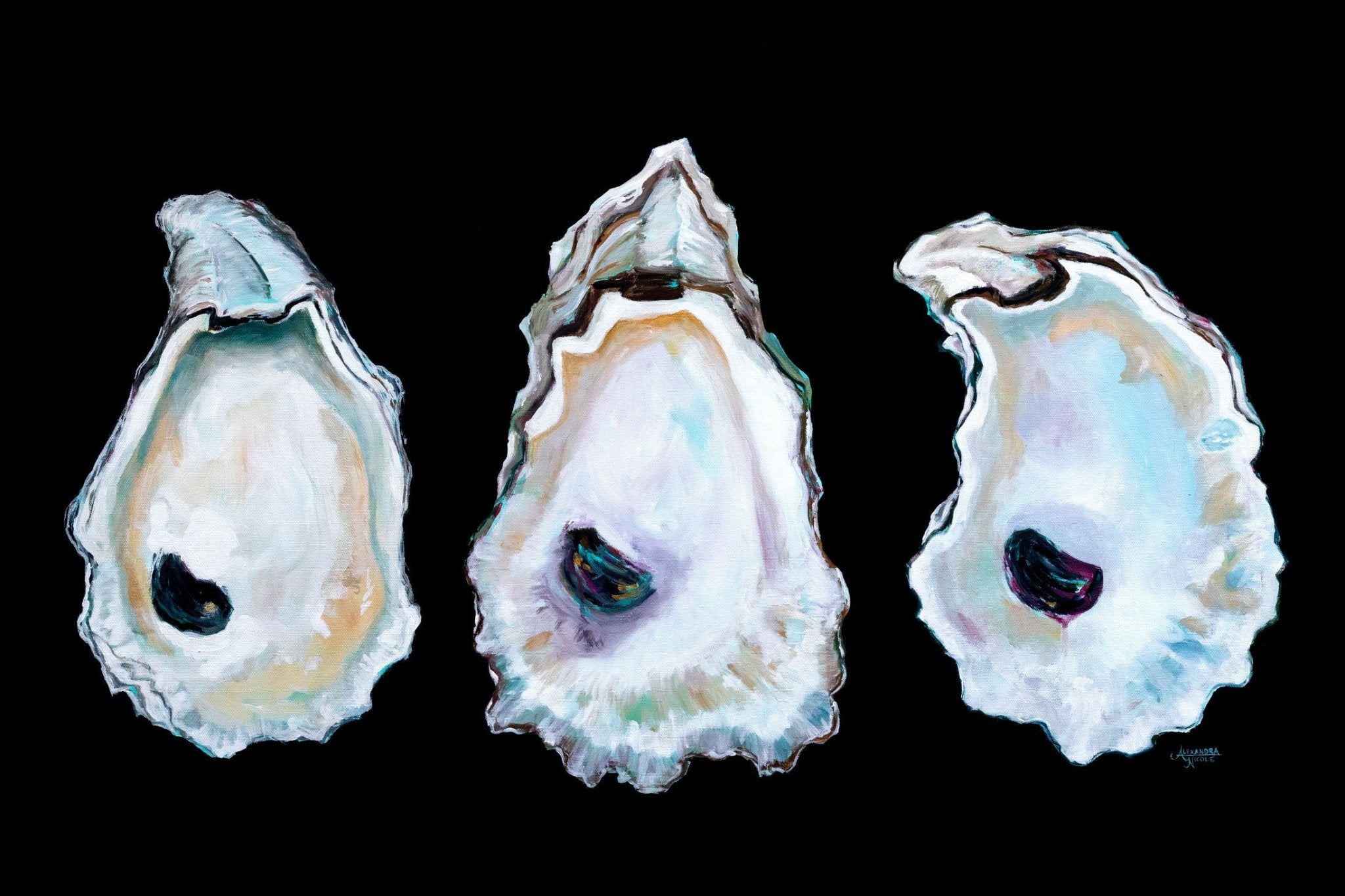 Oyster Shell Printed on Rolled Canvas - ArtByAlexandraNicole