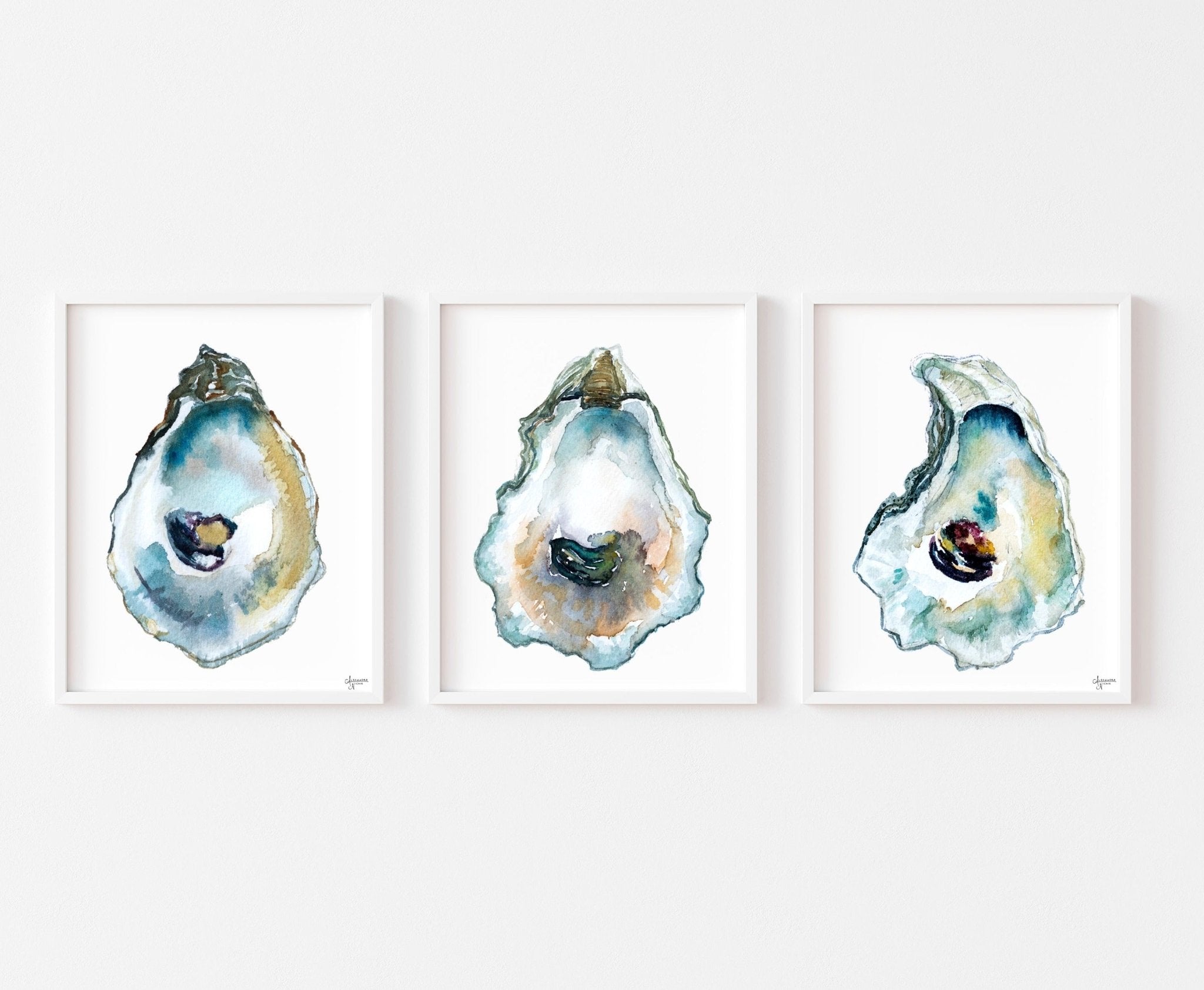 Oyster Shell Watercolor Trio Print Set by Alexandra Nicole Free Shipping –  ArtByAlexandraNicole