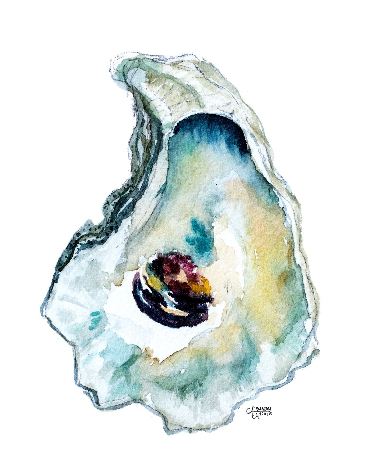 Oyster oyster watercolor hand-painted brush - Stock