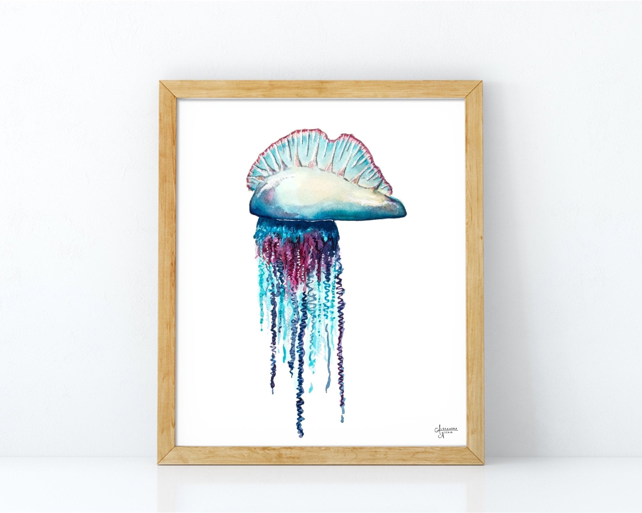 Portuguese Man O War FIne Art Print - ArtByAlexandraNicole