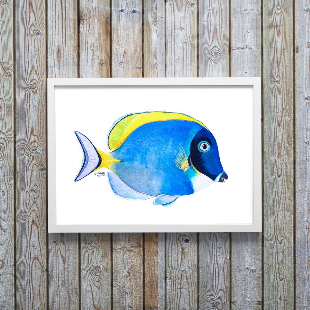 Powder Blue Tang Fish Art Print - ArtByAlexandraNicole