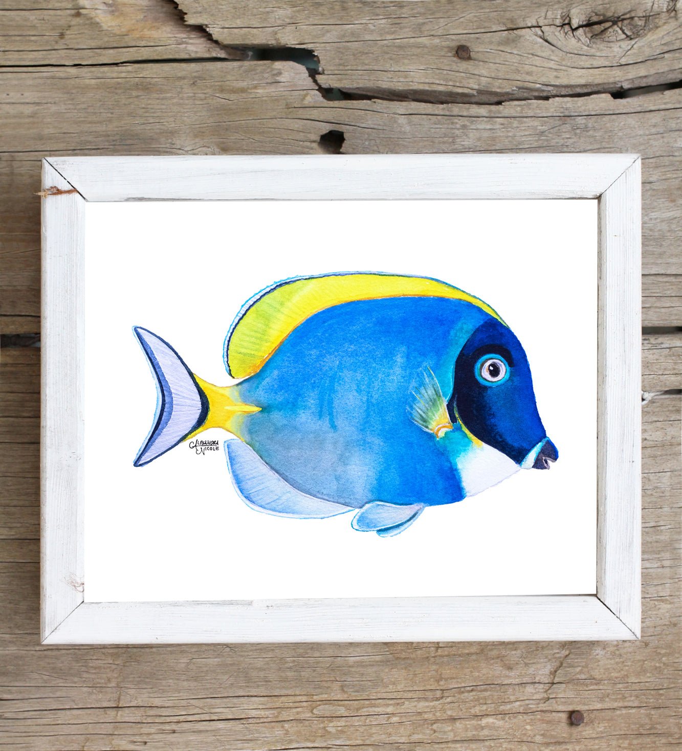 Powder Blue Tang Fish Art Print - ArtByAlexandraNicole