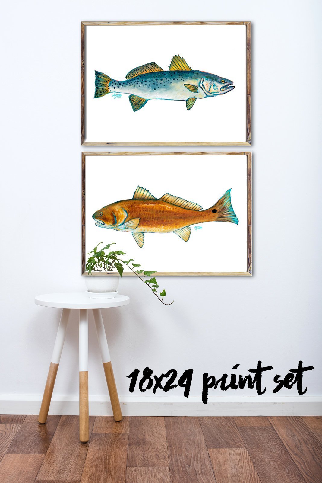 Red Drum and Speckled Trout Fish Print Set - ArtByAlexandraNicole