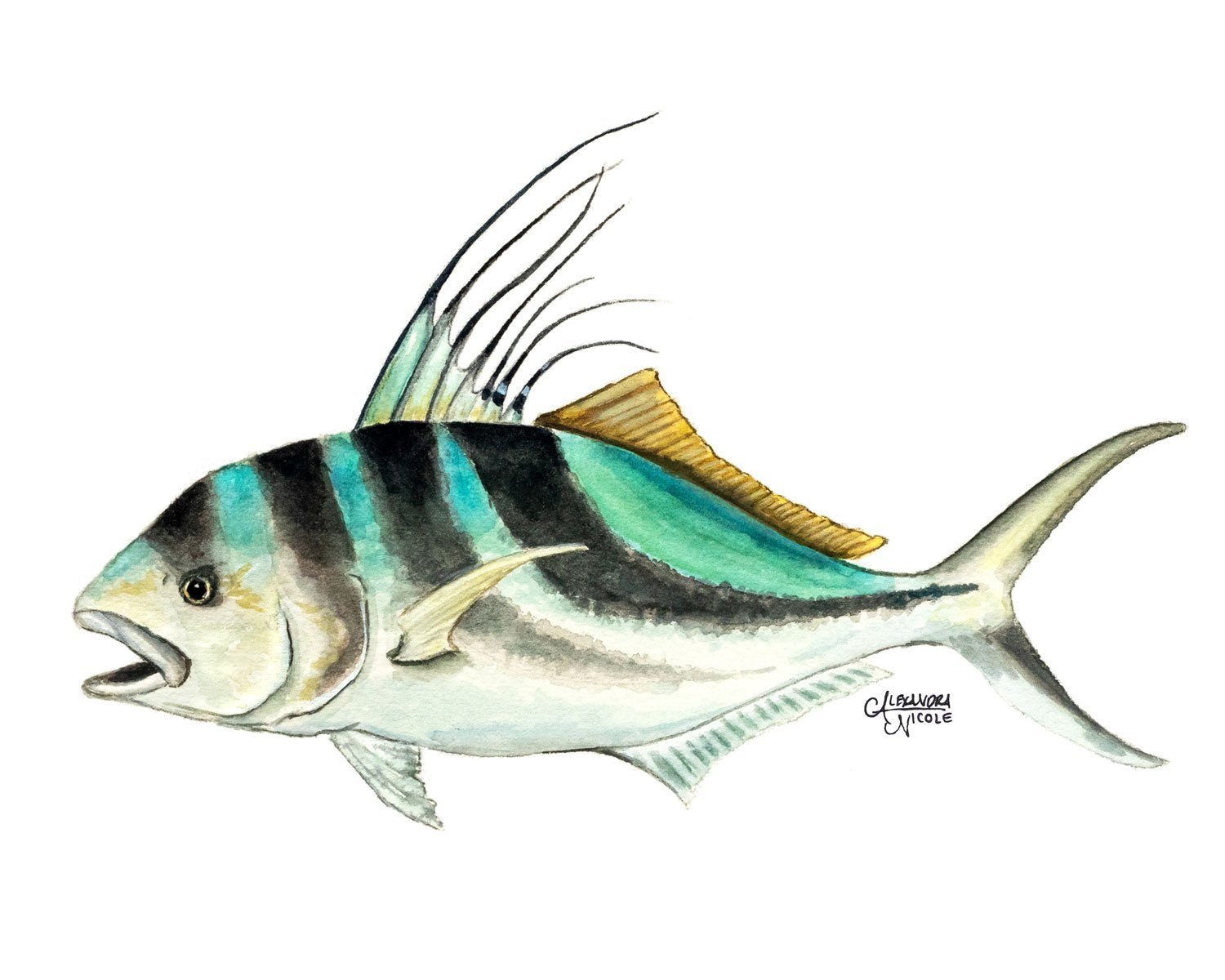Rooster Fish Watercolor Art Print - ArtByAlexandraNicole