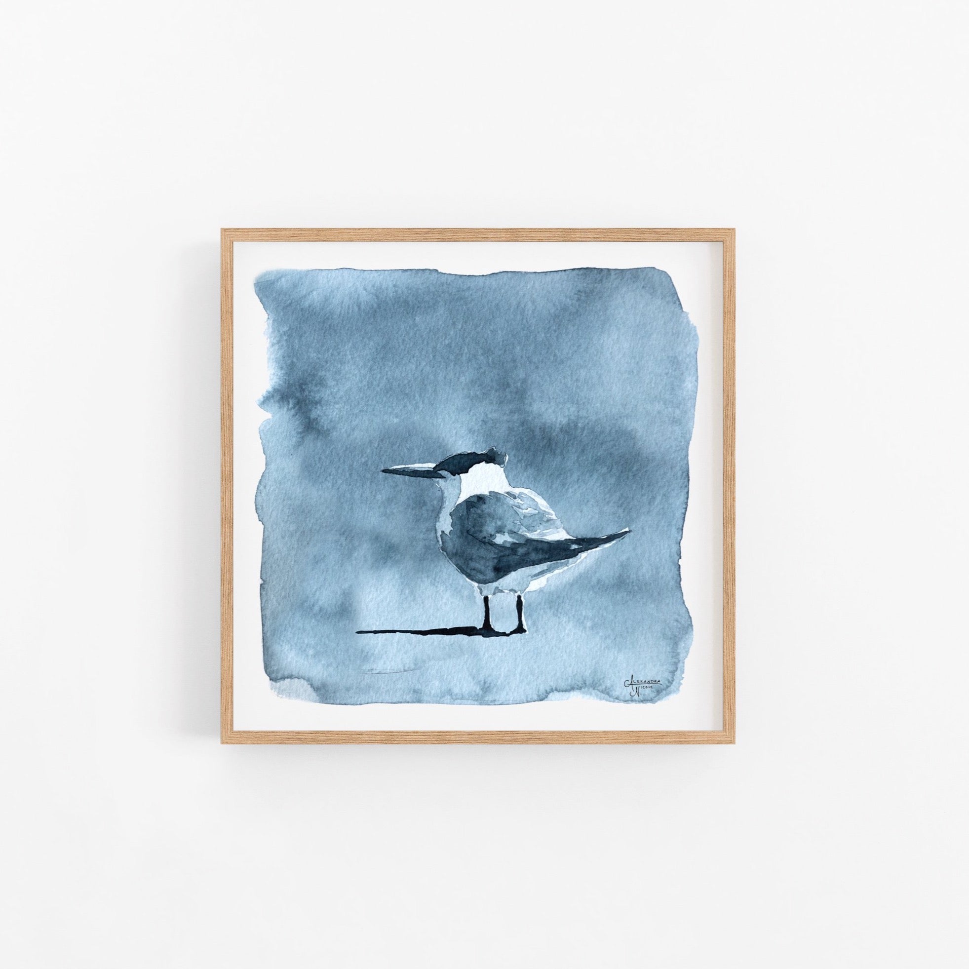 Royal Tern Value Study 2 Art Print - ArtByAlexandraNicole