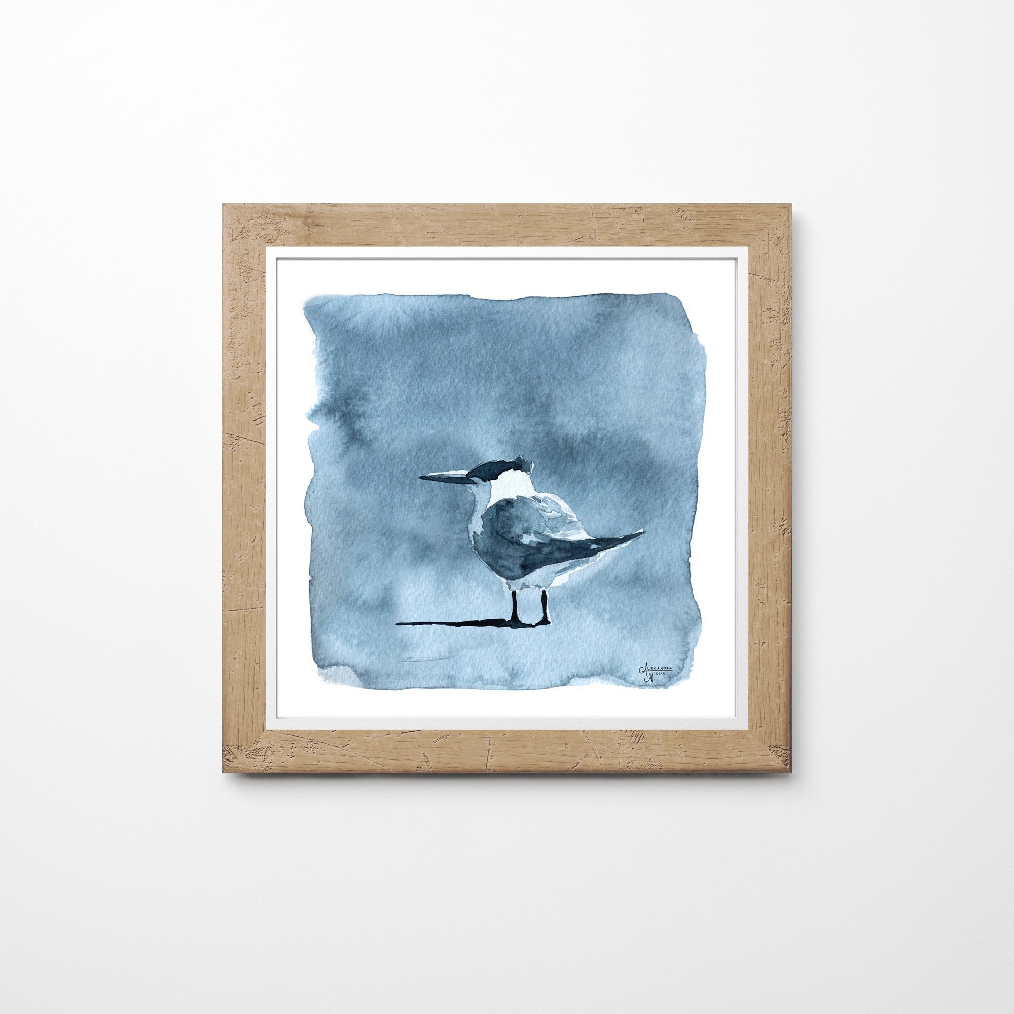 Royal Tern Value Study 2 Art Print - ArtByAlexandraNicole