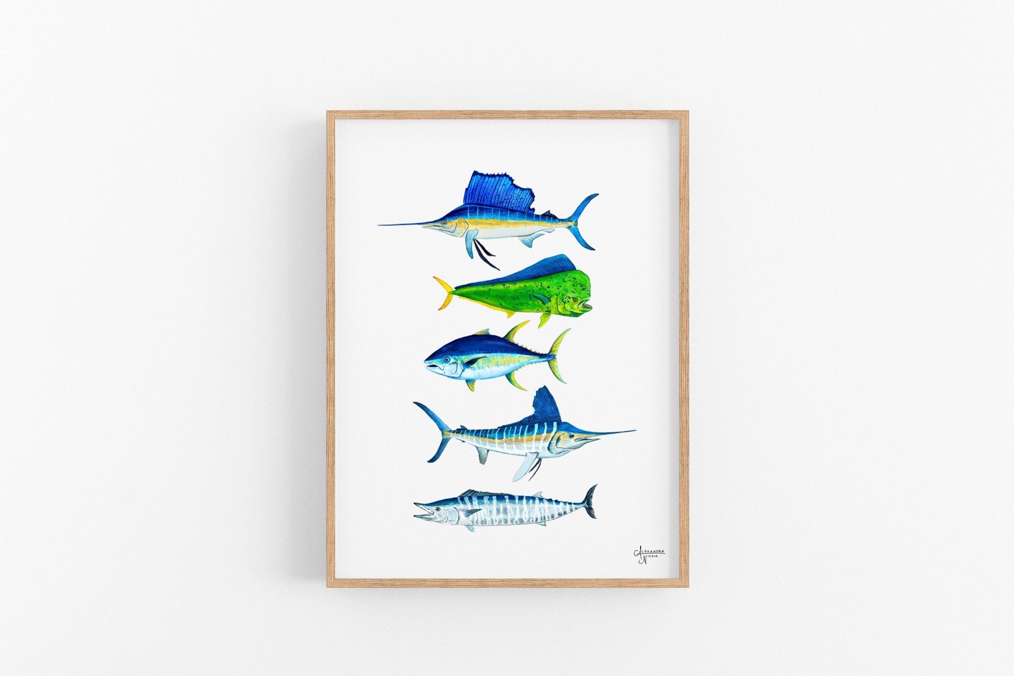 Sailfish, Mahi Mahi, Wahoo, Tuna, Marlin - ArtByAlexandraNicole