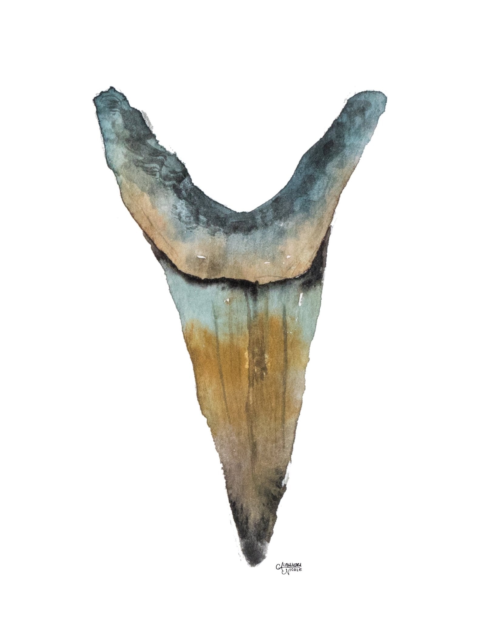 Sand Tiger Shark Tooth Watercolor Minimalist Beach Decor - Shark Tooth No. 2 - ArtByAlexandraNicole