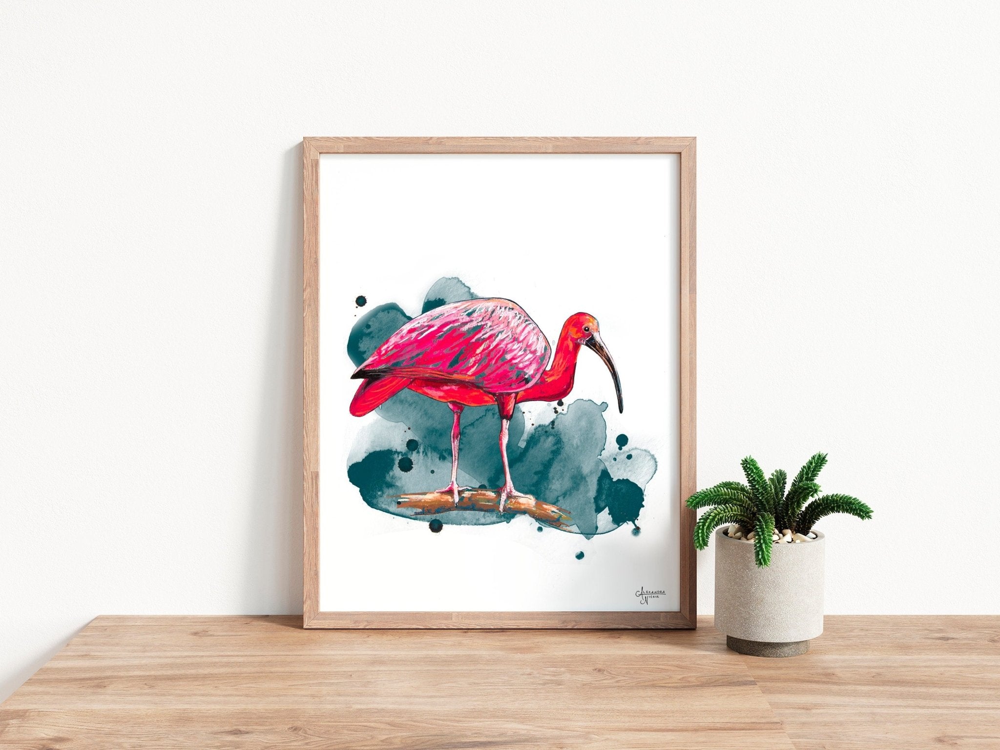 Scarlet Ibis Fine Art Print by Coastal Artist Alexandra Nicole - ArtByAlexandraNicole