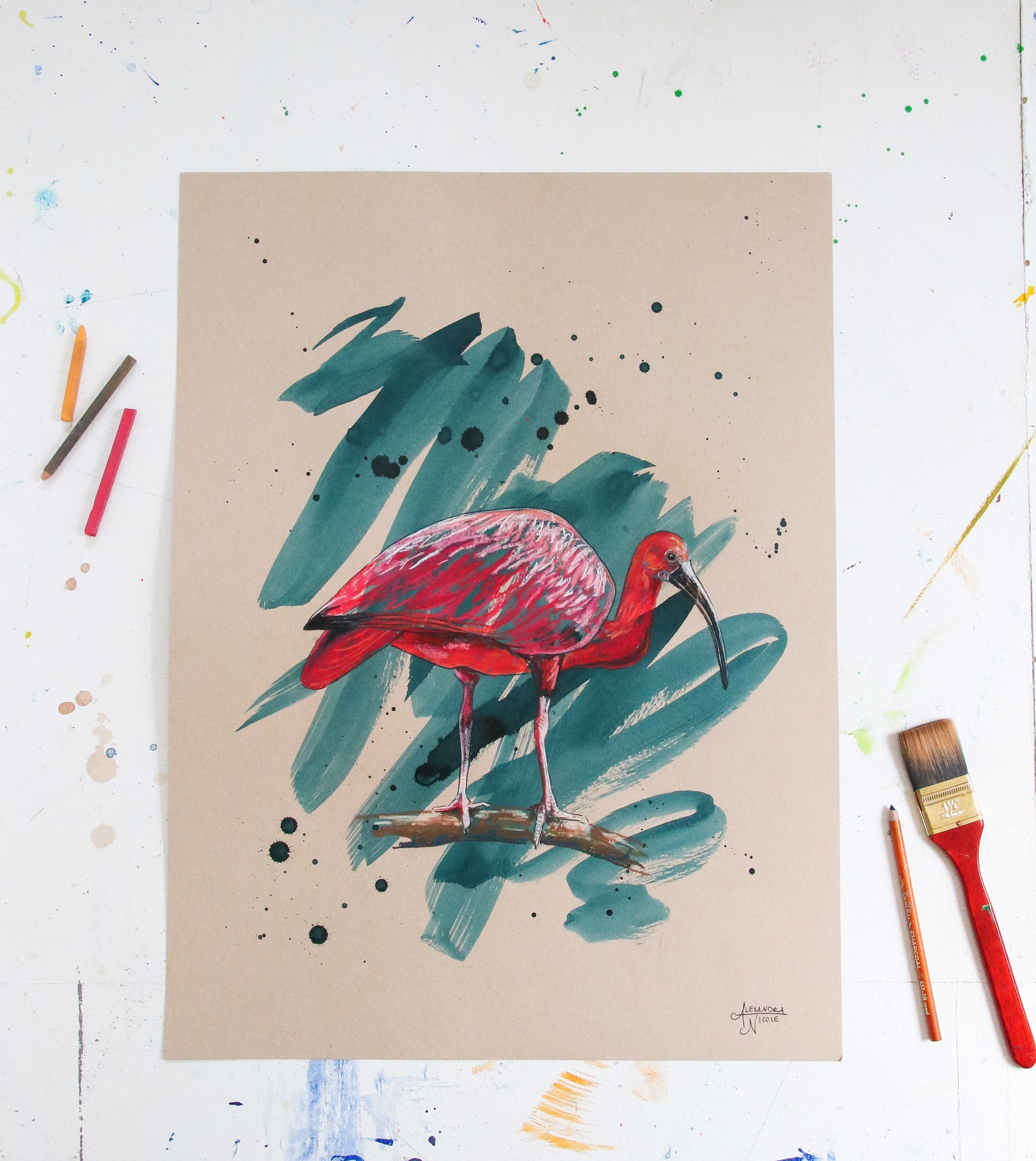 Scarlet Ibis - ArtByAlexandraNicole