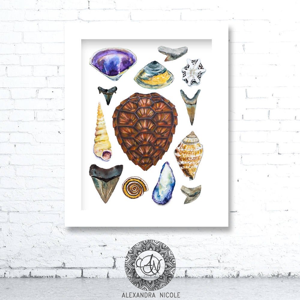 Sea Shell Collection Art Print, Watercolor Sea Shells Art, Sea Shell Coastal Art - ArtByAlexandraNicole