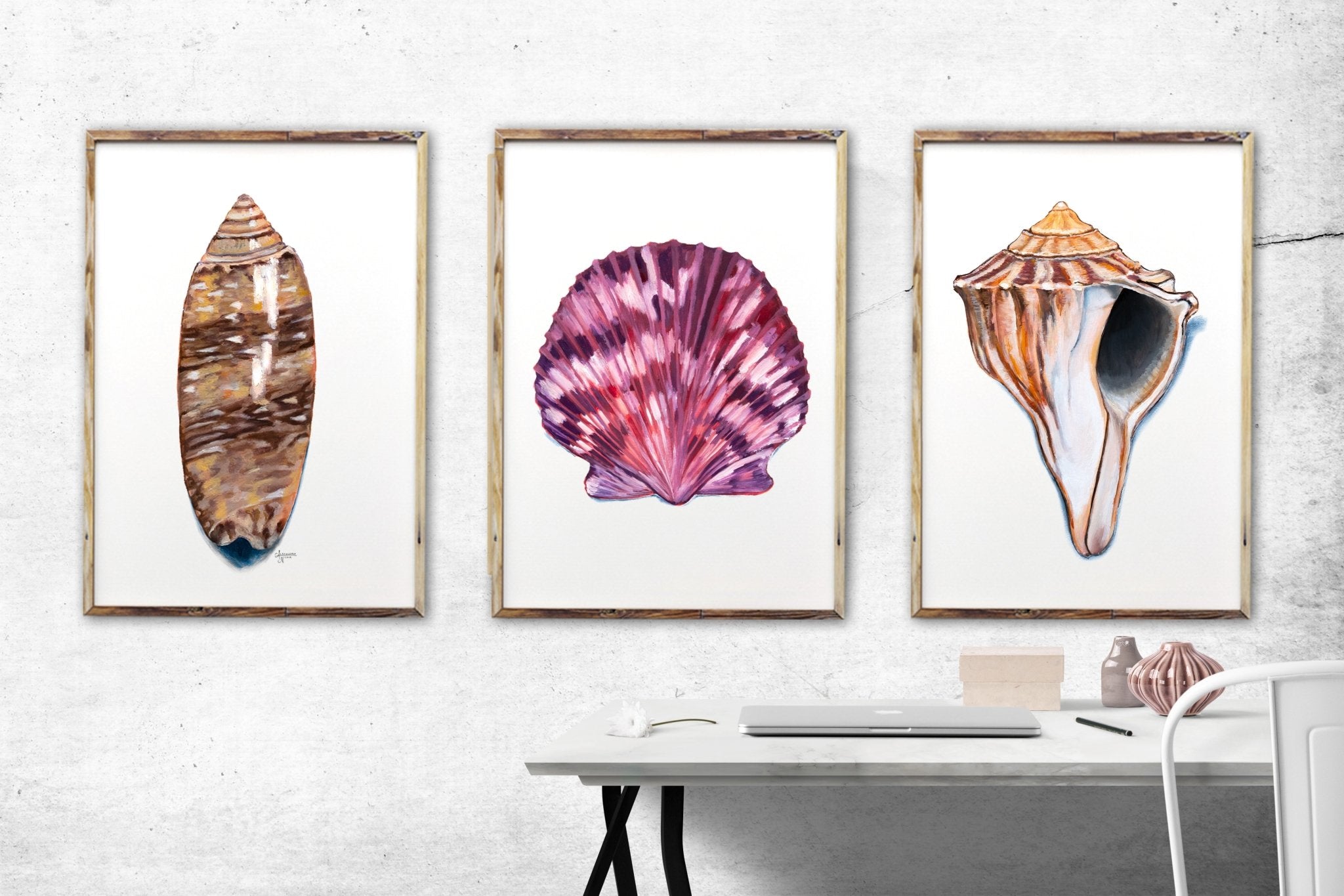 Sea Shell Print Set of 3 - ArtByAlexandraNicole