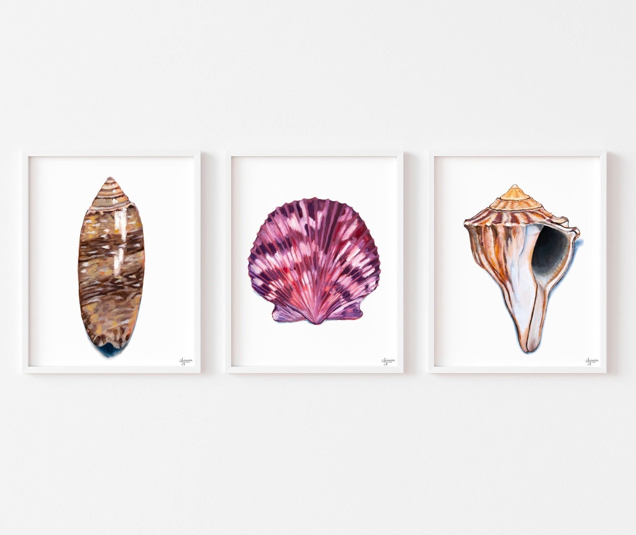 Sea Shell Print Set of 3 - ArtByAlexandraNicole