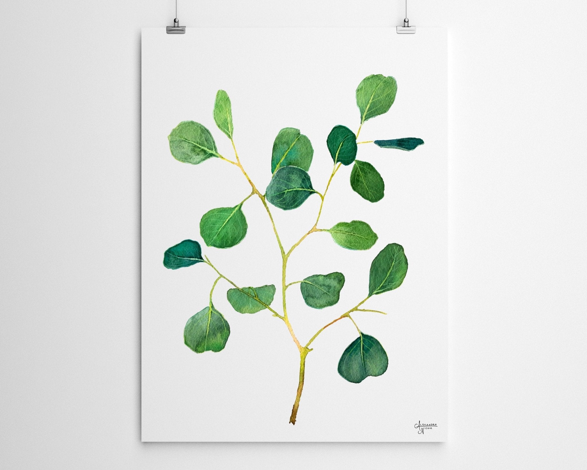 Silver Dollar Eucalyptus Print - ArtByAlexandraNicole