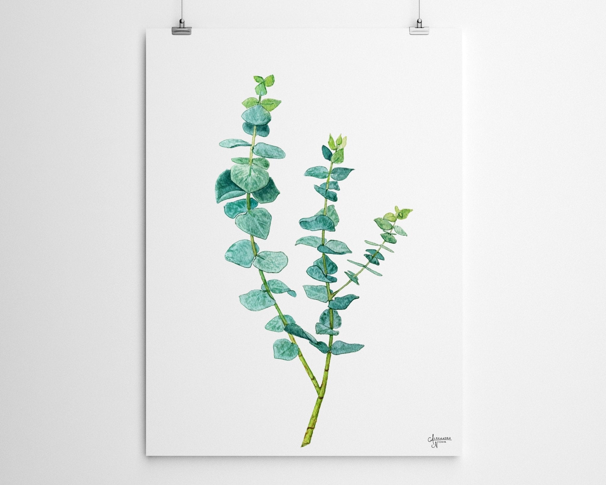 True Blue Eucalyptus Botanical Print - ArtByAlexandraNicole