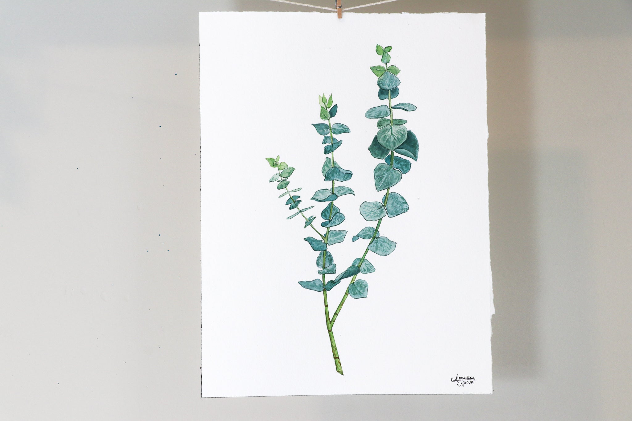 True Blue Eucalyptus - Watercolor Painting - ArtByAlexandraNicole