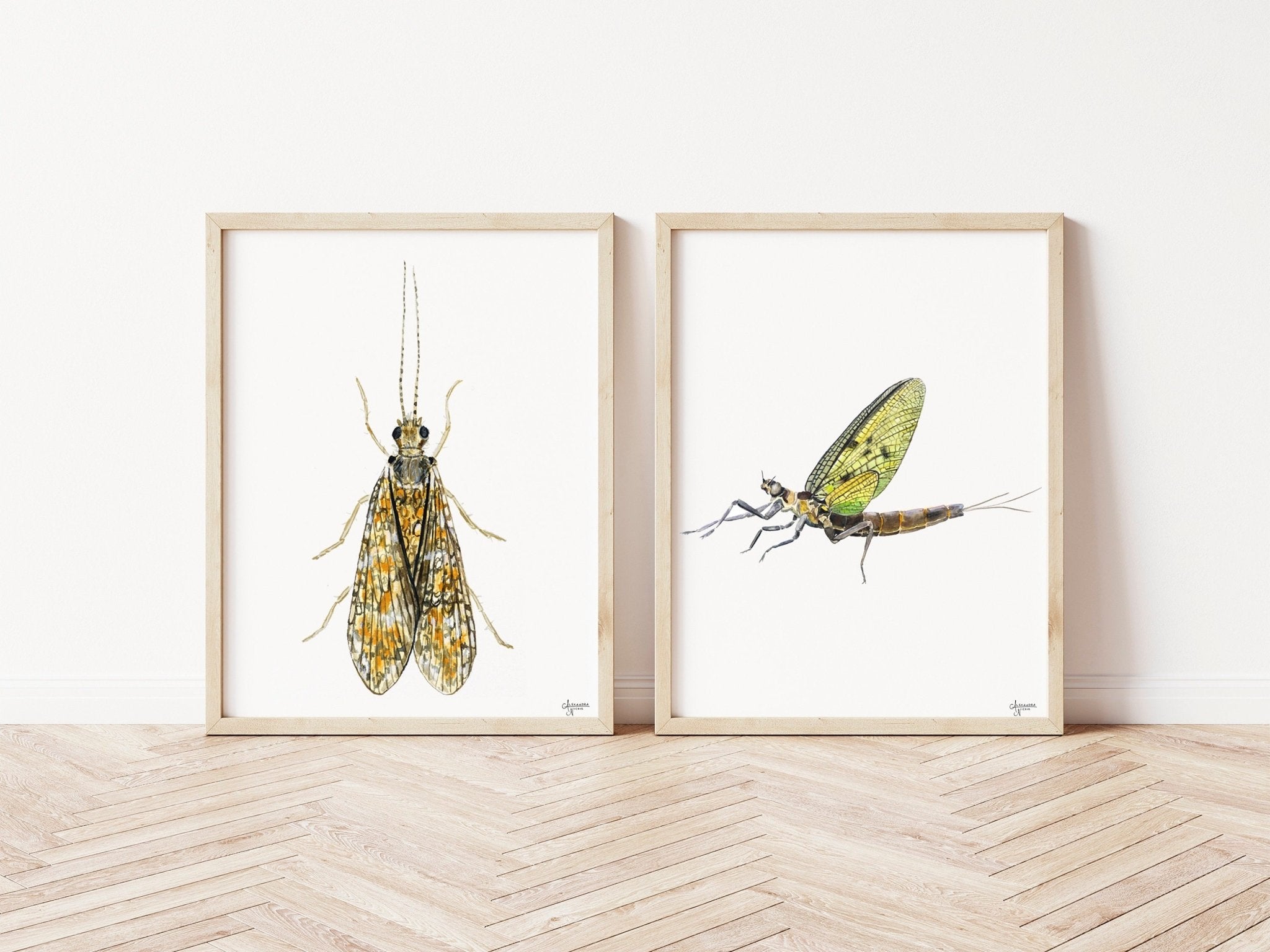 Watercolor Bug Art, Insect Artwork, Fly Fishing Artwork - ArtByAlexandraNicole