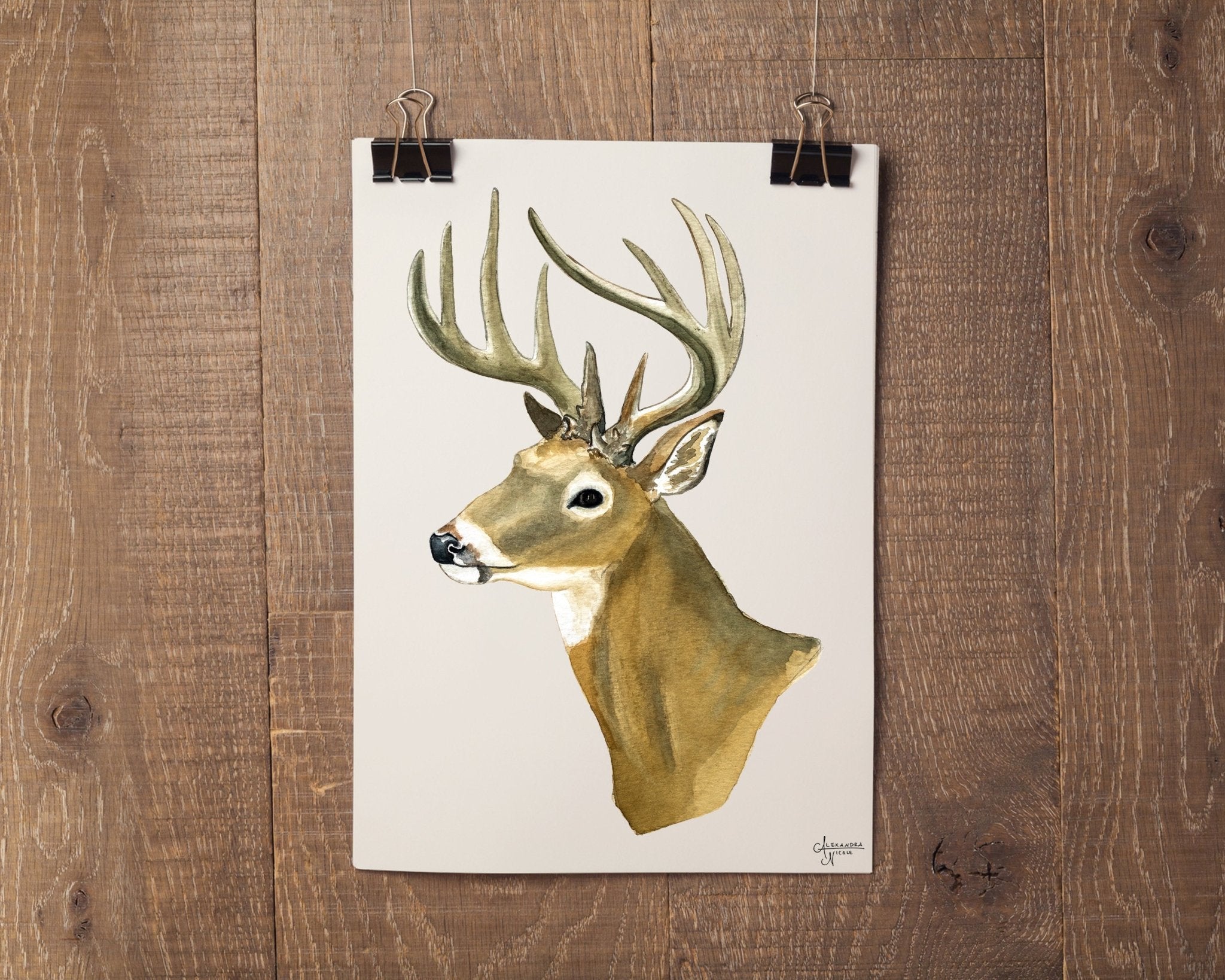 Watercolor White Tailed Deer Fine Art Print - ArtByAlexandraNicole