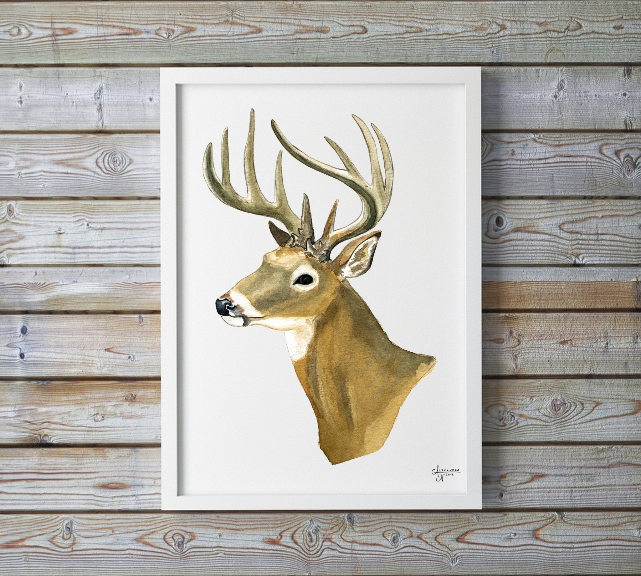 Watercolor White Tailed Deer Fine Art Print - ArtByAlexandraNicole