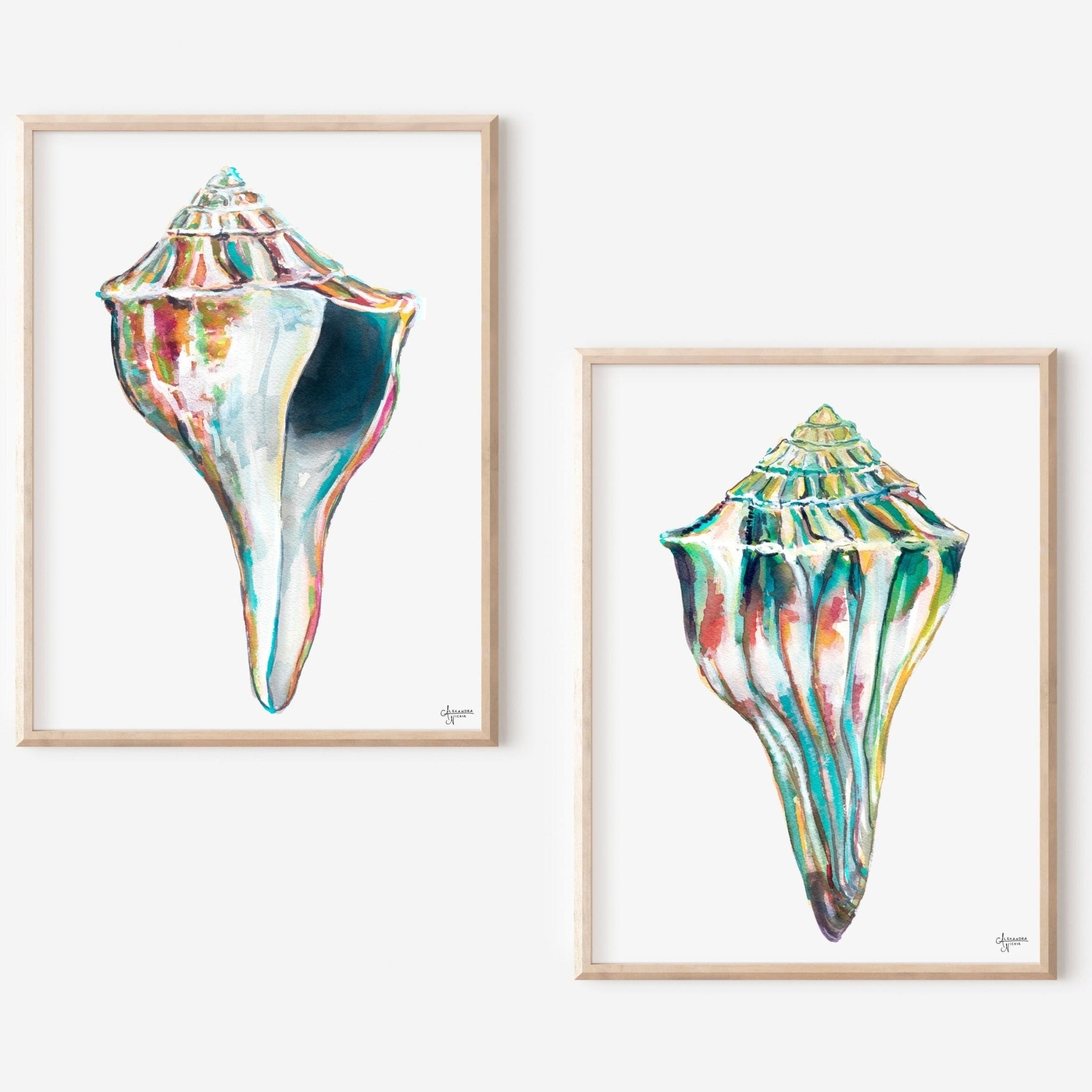 Whelk Sea Shell Duo Wall Art, Discounted Print Set - ArtByAlexandraNicole