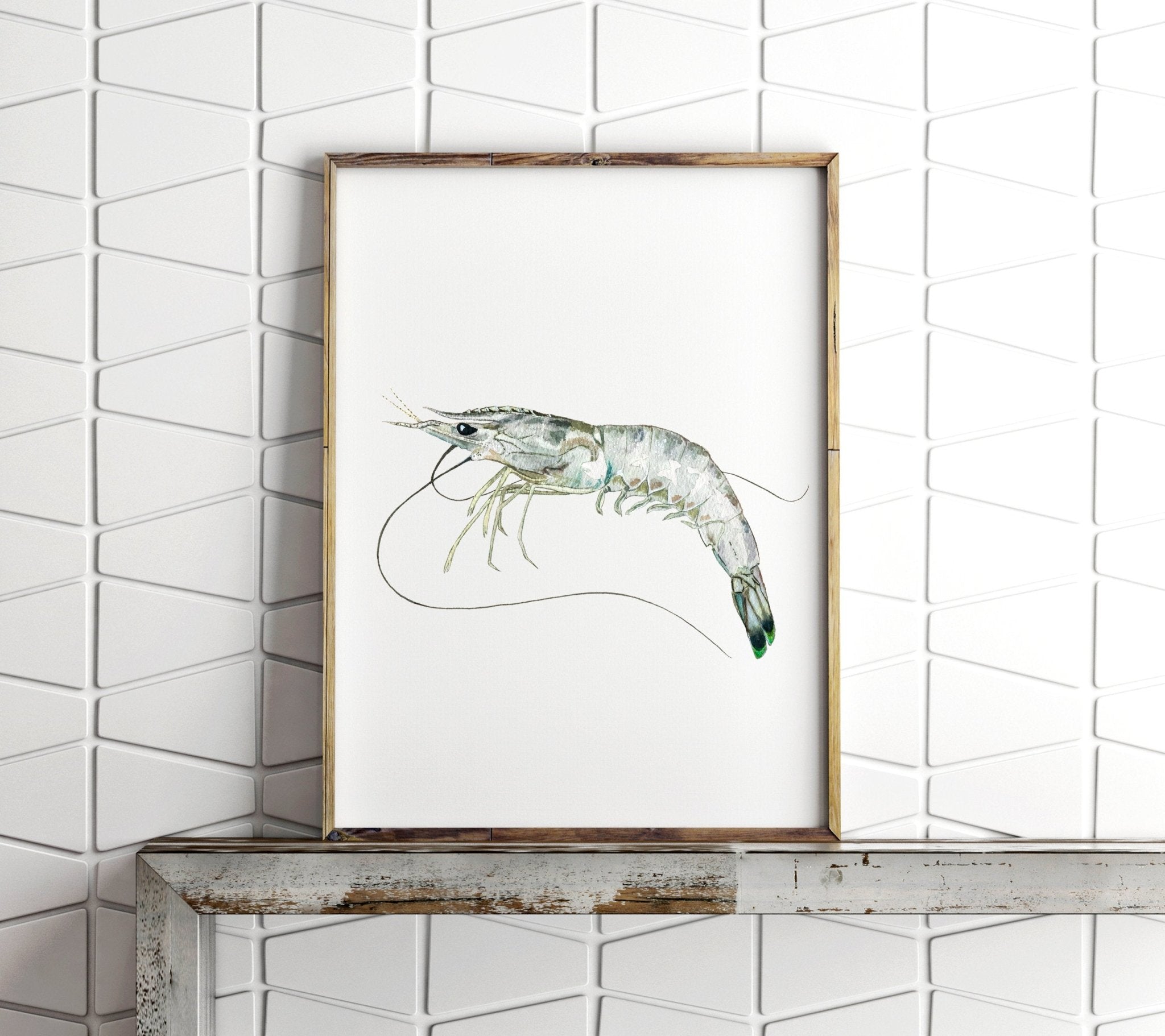 White Shrimp Watercolor Fine Art Print - ArtByAlexandraNicole