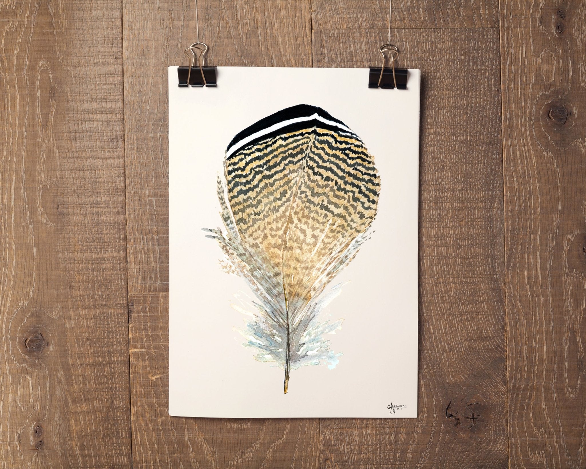 Wood Duck Feather Art Print - ArtByAlexandraNicole
