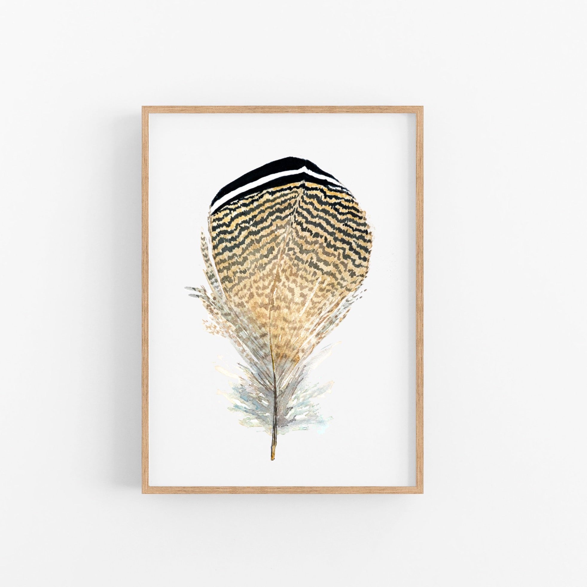Wood Duck Feather Art Print - ArtByAlexandraNicole