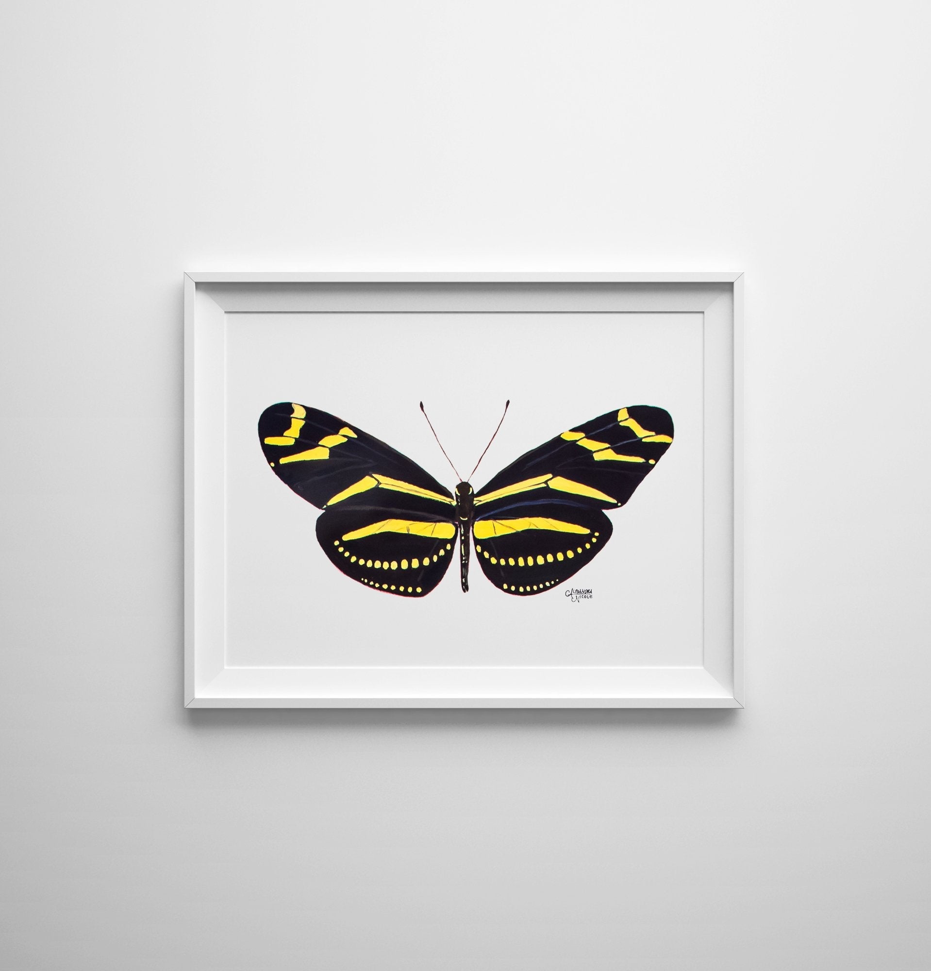 Zebra Longwing Butterfly Art Print - ArtByAlexandraNicole